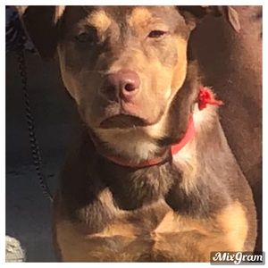 Meet your Posher, Emmanuel